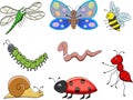 Funny cartoon insect Royalty Free Stock Photo