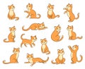 Funny cartoon little cat in various poses vector illustration set. Orange smiling kitten sitting, playing, begging, standing and