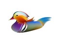 Funny cartoon Mandarin duck. Elegant Bright bird duck