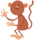 funny cartoon monkey comic animal character