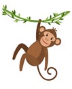 Funny cartoon monkey icon
