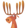 Funny cartoon moose. Vector moose character illustration.