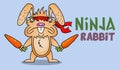 Funny cartoon ninja rabbit with two carrots as a weapon. Mascot for a children`s martial arts school