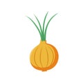 Funny cartoon onion. Cute vegetable. Vector food illustration isolated on white background