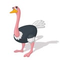 Funny cartoon ostrich illustration. Royalty Free Stock Photo