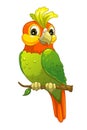 Funny cartoon parrot Royalty Free Stock Photo
