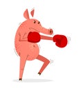 Funny cartoon pig boxing training in gloves vector illustration.