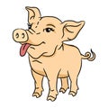 Funny cartoon pig. Isolated 2D illustration Royalty Free Stock Photo