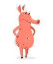 Funny cartoon pig standing angry and serious humorous vector illustration.
