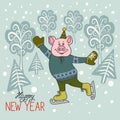 A funny cartoon pig in warm clothes on skates. Isolated objects on white background. Vector Royalty Free Stock Photo