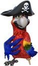 Funny Cartoon Pirate Parrot Isolated Royalty Free Stock Photo