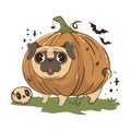 Funny cartoon pug dog in a halloween pumpkin costume. Scary funny character for halloween. Vector illustration of pets Royalty Free Stock Photo