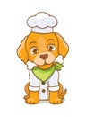 Funny cartoon puppy dog with bone and chef hat and costume. Golden retriever with bandana and accessories