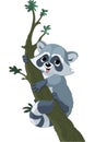 Funny cartoon raccoon on the tree Royalty Free Stock Photo