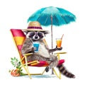 Funny cartoon raccoon wearing colorful summer hat and stylish sunglasses and sitting on beach chair isolated over white background