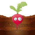 Funny cartoon radish