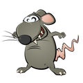 Funny cartoon rat Royalty Free Stock Photo