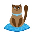 Funny cartoon smiling siamese cat and blue pillow on white background kids vector illustration Royalty Free Stock Photo