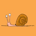 Funny cartoon snail with silly face Royalty Free Stock Photo