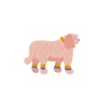Funny cartoon style icon of komondor in boot covers for different design. Cute hungarian sheepdog