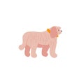 Funny cartoon style icon of komondor for different design. Cute hungarian sheepdog