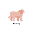 Funny cartoon style icon of komondor with text for different design. Cute hungarian sheepdog