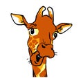 Funny cartoon Talking giraffe headshot. Emotion face of a giraffe