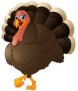Funny cartoon turkey