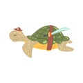 Funny cartoon turtle pirate in a hat with a sword colorful character vector Illustration Royalty Free Stock Photo