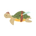 Funny cartoon turtle pirate in a hat with a sword colorful character vector Illustration