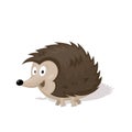 Funny cartoon urchin illustration.