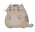 Funny cartoon vector fat cat with grumpy face. Lazy overweight pet illustration. Royalty Free Stock Photo