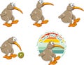 Funny cartoonish kiwi bird. Set for design