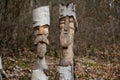 Funny carved faces in sawn-off birch trees