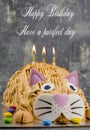 Funny cat  birthday cake with sweet Royalty Free Stock Photo