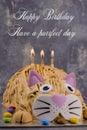 Funny cat  birthday cake with sweet Royalty Free Stock Photo