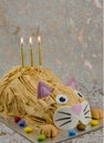 Funny cat  birthday cake with sweet Royalty Free Stock Photo