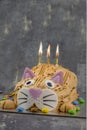 Funny cat  birthday cake with sweet Royalty Free Stock Photo