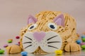 Funny cat  birthday cake with sweet Royalty Free Stock Photo