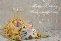 Funny cat  birthday cake with sweet Royalty Free Stock Photo