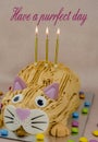 Funny cat  birthday cake with sweet Royalty Free Stock Photo