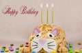 Funny cat  birthday cake with sweet Royalty Free Stock Photo