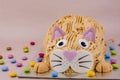 Funny cat  birthday cake with sweet Royalty Free Stock Photo