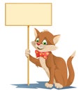 Funny cat in a bow tie holding blank banner.