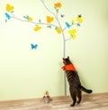 Funny cat catches butterflies painted on the wall