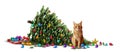 Funny Cat Christmas Tree Mishap Royalty Free Stock Photo