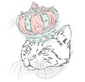 Funny cat in the crown. Vector illustration for a card or poster. Prints on the clothes or accessories. Royalty Free Stock Photo