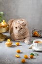 Funny cat with a cup of tea and muffins. Cute cat. Poster, greeting card, cafe bakery, confectionery menu concept. Copy space