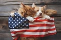 Funny cat and dog with big America USA flag celebrates 4th of July Independence Day. Royalty Free Stock Photo