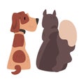 Funny Cat and Dog Sitting Together, Back View, Happy Pets Animals Characters are Best Friends Vector illustration Royalty Free Stock Photo